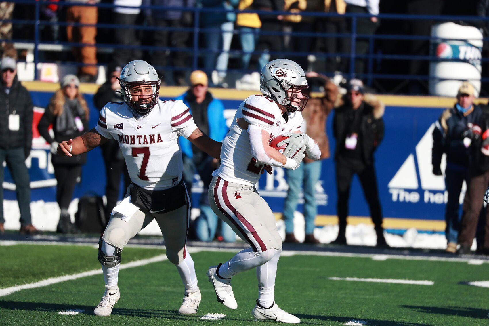 Cat Griz 2022